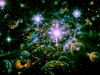 ASTRONOMY DOMINE  1982