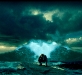 DARK WAVE  2007