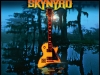 skynyrdthenandnow