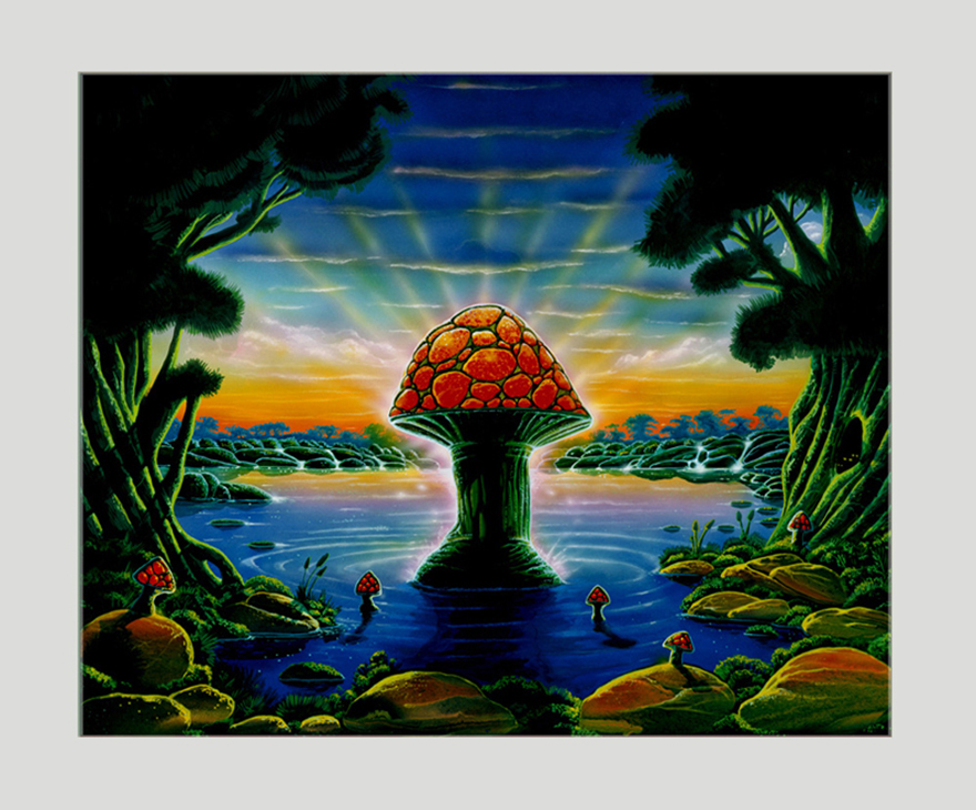 Vivid Images: Ioannis and the Allman Brothers Band